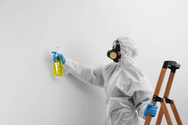 Biohazard Mold Removal in Dysart, IA