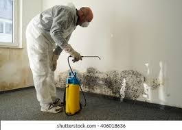 Why You Should Choose Our Mold Remediation Services in Dysart, IA